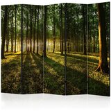 Paravan u 5 dijelova - Morning in the Forest II [Room Dividers] 225x172 | shoptok.hr