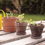  Svinčnik s semeni Sprout - jagoda | Shoptok.si