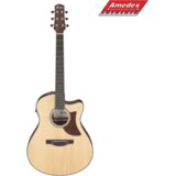  GITARA EL.-AK. IBANEZ AAM50CE OPN cijene