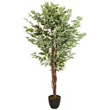 MID.YOU Umetna Rastlina Ficus | Shoptok.si