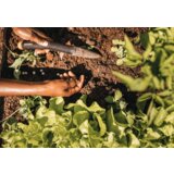 Fiskars sadilica solid planting stick 1057080 | ePonuda.com