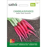 Sativa Bio redkvice "Candela di Fuoco" | Shoptok.si