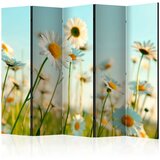  Paravan u 5 dijelova - Daisies - spring meadow II [Room Dividers] 225x172 Cijene