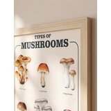 Sinsay Uokvireni zidni poster s motivom gljiva | shoptok.hr