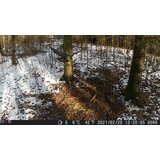 OXE Fotozamka Gepard + 32GB SD kartica i 4 baterije GRATIS! | shoptok.hr