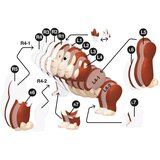 Apli Puzzle 3D Wild Gorila 20029 | shoptok.hr