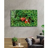Wallity Slika 221JRS1381, 70x110 cm | ePonuda.com