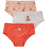 Lucky Kiddo gaćice slip 3 kom LK-GS 225 Ž šareno 110/116 | shoptok.hr