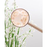 Miu Miu L'Eau Rosée toaletna voda za ženske 50 ml | Shoptok.si