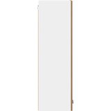 Viseći ormarić s pohranom Umjetnički hrast 30 x 31 x 100 cm | Eponuda.com