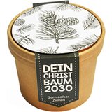 Mini set za sajenje "Vaše božično drevo 2030" - 1 k. Cene