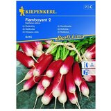 KIEPENKERL Profi-Line Zelenjavna semena redkvic Flamboyant 2 (Raphanus sativus, Čas žetve: April, 8 m²) | Shoptok.si