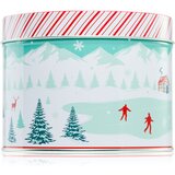 DW Home Scene & Stripes Cinnamon Gum Drops dišeča sveča 833 g Cene