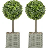 umetna rastlina plastika, cement Ø15 x 50V cm zelena, (5000242195)