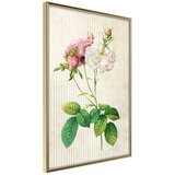  Poster - Romance I 40x60 Cijene