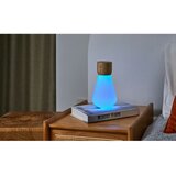 Gingko Prigušiva stolna lampa u prirodnoj boji (visina 19 cm) Pentagon - | shoptok.hr