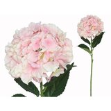  CVIJEĆE HYDRANGEA PVC 7079 | Eponuda.ba