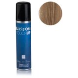  Sprej za izrast kose Perfect Touch Up 75 ml – Plavi cijene