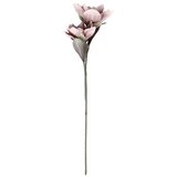 Eglo 428113 - Veštačka biljka MOLAVE 83 cm ružičasta | Eponuda.com