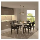 Hanah home Specto - Anthracite Anthracite Chair Set (4 Pieces) Cene