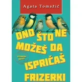 Agata Tomažič - Ono što ne možeš da ispričaš frizerki