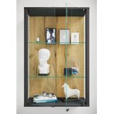 Livetastic VISEČA VITRINA, prozorno, črna, medeni hrast | Shoptok.si