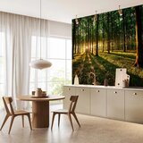 Foto tapeta - Mystical Morning 250x175 Vodootporna | shoptok.hr