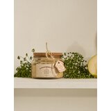 Sinsay Mirisna svijeća Gingerbread Cookies | shoptok.hr
