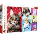 Trefl 10591 puzzle Sestavljanka 1000 kos Ostalo | Shoptok.si