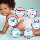 Pampers Premium Care Gacice 114kom vel 4 | ePonuda.com