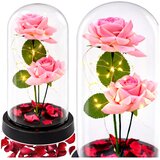 Eternal Roses in Dome with LED Lighting and Rose Petals Pink 21x11cm | Shoptok.si