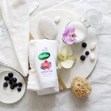 RADOX Romantic Orchid & Blueberry nježna krema za tuširanje 250 ml | shoptok.hr