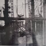  paul mccartney - chaos and creation in the backyard (ltd. gold viny | Eponuda.com