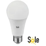 LED ŽARULJA AL-12W 4000K E27 110-240V