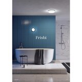  Redo 01-3732 - LED plafonsko svetlo FRISBI LED/18W/230V 3000/4000K IP44 belo | Eponuda.com