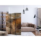  Paravan u 3 dijela - Dandelions World [Room Dividers] 135x172 | shoptok.hr