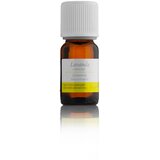  Eterično ulje Lavanda (Lavandula angustifolia), 10 ml Cijene