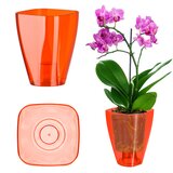 KADAX Cvetlični lonec za orhideje, plastični lonec, rdeč, močan, 9 cm, (5000352916) | Shoptok.si