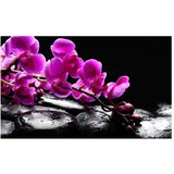  Tapeta - Relaxing moment: orchid flower and stones 450x270 | shoptok.hr