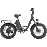 Električno kolo E20 Pro, 20-palčno debelo kolo, 48 V 15,6 Ah odstranljiva baterija, črna, (5000255681)
