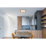 Globo stropna led-svetilka 40/40/5 cm | Shoptok.si