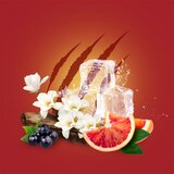 Old Spice Tigerclaw deostick za muškarce 50 ml | shoptok.hr