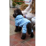 Paws &amp; Whiskers Kabanica za pse, plava Cijene