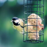 KLASEBO Vogelfutter 18 kg 200 Fettkugeln à 90 g ohne Netz, 100 natürliche Zutaten, hohe Energieversorgung, (5000240321) | Shoptok.si