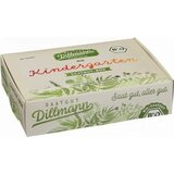 Saatgut Dillmann Vrtec - škatla s semeni S Bio - Kartonska škatla Cene