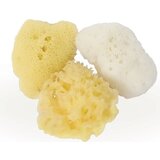 Cose della Natura mini Beauty Trio Cijene