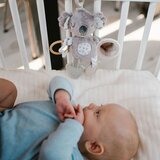 BabyOno viseća edukativna igračka koala Coco | shoptok.hr