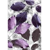 Conceptum Hypnose Tepih Hmnt572, 160x230cm, Šareni | Eponuda.ba