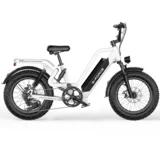 RS ST Premium električno kolo, 48V 25Ah odstranljiva baterija, bela, (5000255717)