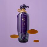 DAENG GI MEO RI Jin Gi Premium Vitalizing Shampoo obnavljajući šampon za vrlo oštećenu i lomljivu kosu za stimuliranje rasta kose 500 ml | shoptok.hr